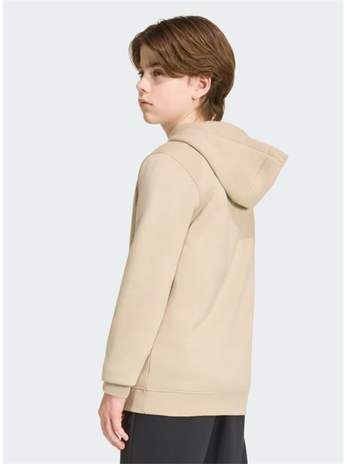 regular hoodie ADIDAS ORIGINAL | KR0881KHATHR